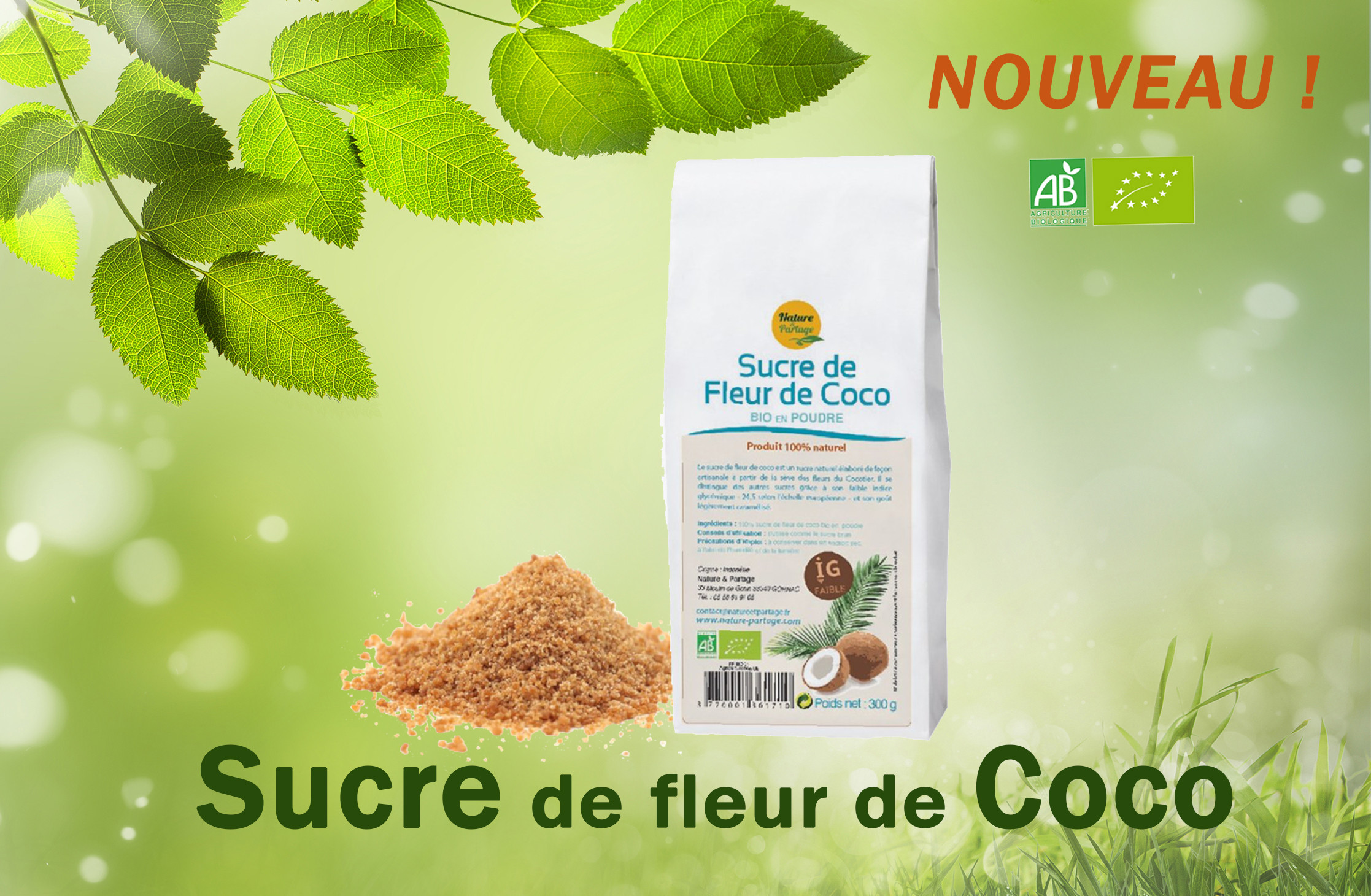 sucre de fleur de coco