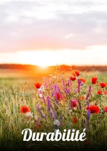 Durabilite