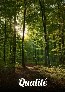 Qualite