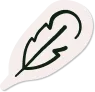 Rien-a-vous-cacher.webp